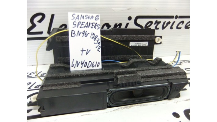 Samsung BN96-12837E speakers